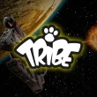 【TRIBE】義大利 TRIBE STARWARS 星際大戰 8GB 隨身碟(Chewbacca)