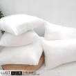 【Lust】長枕心 現貨  多種尺寸/沙發靠墊/台灣製造
