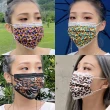 【愛貝恩】MIT 雙鋼印成人醫用口罩-豹紋系列(30入)