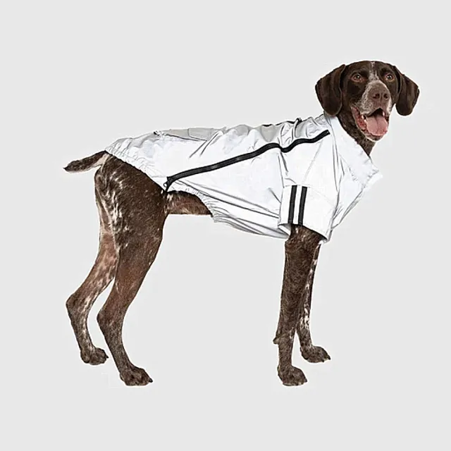 【CANADA POOCH】寵物雨衣/ 夜視反光夾克-16(Night Vision Jacket Grey-16)