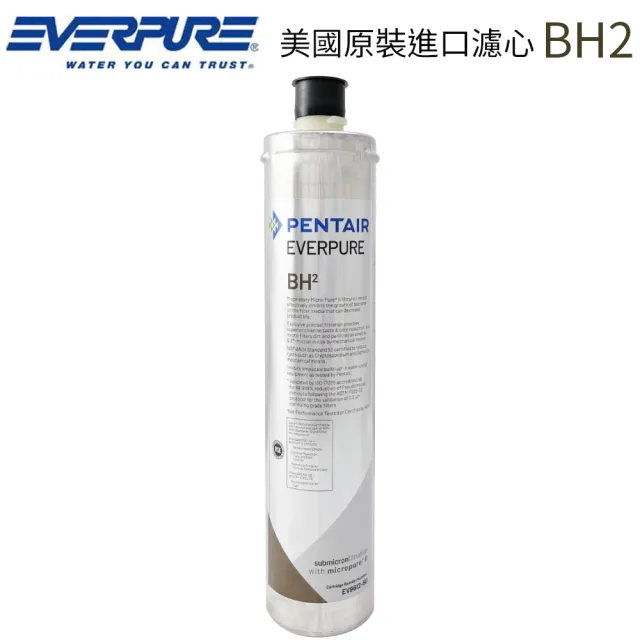 【濱特爾】EVERPURE 美國原裝進口濾心(BH2 平輸品)