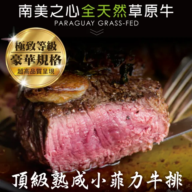 【豪鮮牛肉】南美草原之心熟成菲力厚切9包(200g±10%/包)