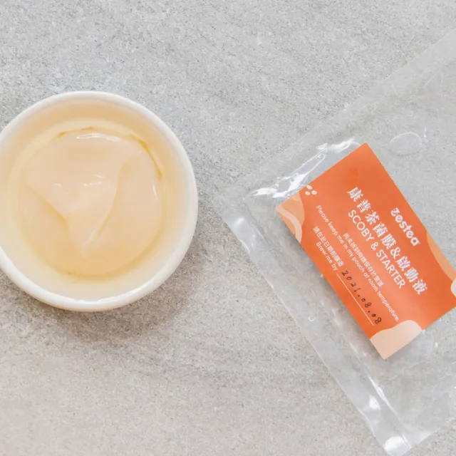 【Zestea Kombucha】Zestea康普茶自釀組(簡單步驟、釀造屬於你的康普茶)