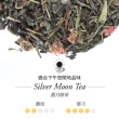 【TWG Tea】時尚茶罐雙入 銀月綠茶100g+摩洛哥薄荷綠茶100g(綠茶)