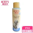 【BURT’S BEES】天然蜜肌系列 犬用沐浴露 多種香味(16oz/473ml)