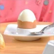 【TESCOMA】素白碟形蛋杯(雞蛋杯 蛋托 早午餐 餐具)