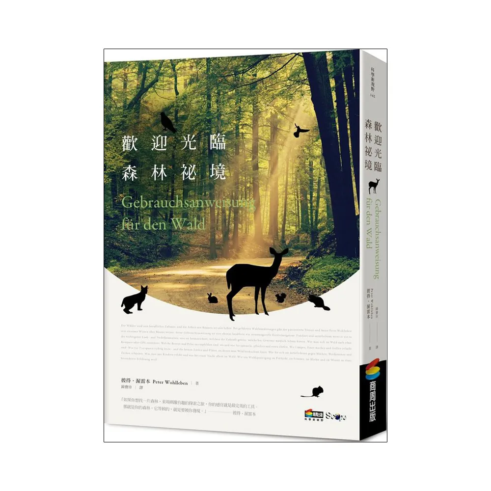 歡迎光臨森林祕境