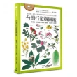 台灣行道樹圖鑑（從葉型、花色、樹形輕鬆辨識全台110種常見行道樹）