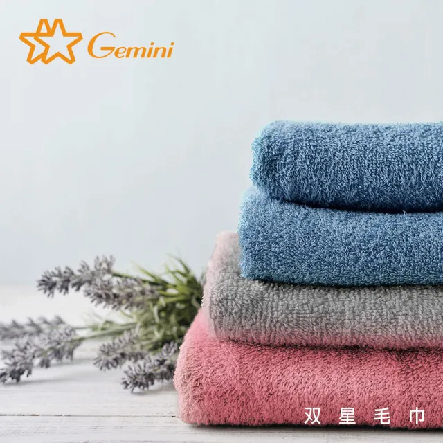 【Gemini 雙星】Gemini抗菌機能毛巾超值二入組(抑菌 防霉 消臭 無毒)
