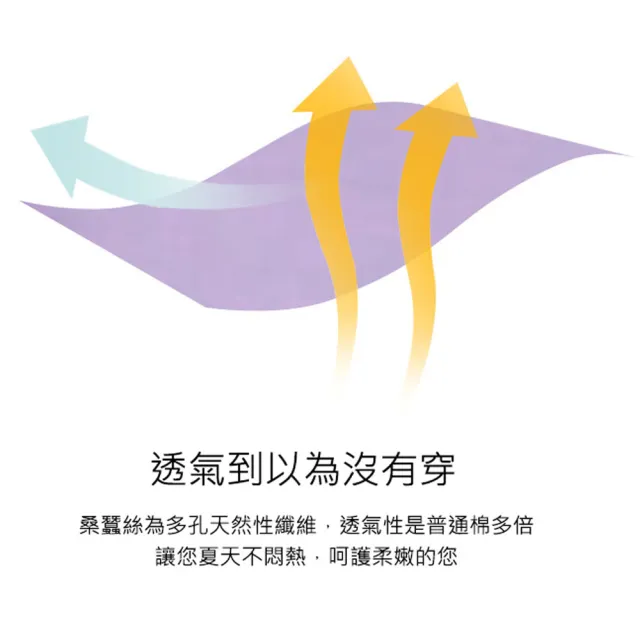 【舒意蠶絲】無痕42針100%桑蠶絲中腰蕾絲透氣平腳內褲5件組合#110639.109710#(超值5件組)