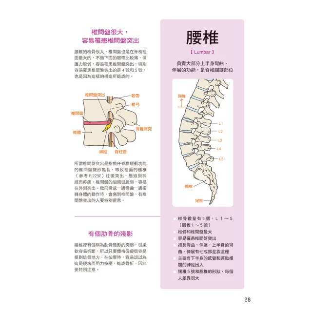 【人類智庫】調整脊椎消除身體疼痛–簡單四招、一試見效(健康誌)