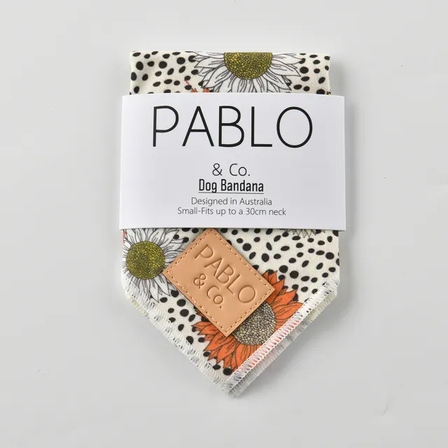 【Pablo & Co】寵物領巾 毛小孩 領巾 方巾 南法向日葵 M