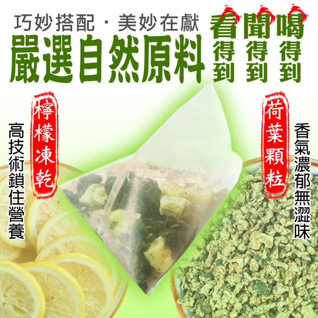 【蔘大王】荷葉檸檬茶包X6組（6gX10入/組）長效期版(解油雙寶 回甘很到位 代謝很輕鬆 無咖啡因無茶鹼)