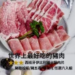 【嚴選好物HOWGOOD】西班牙國寶伊比利豬火鍋肉片 任選6盒組(世界聞名夢幻食材)