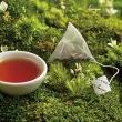 【Zenique 小茶栽堂】自然栽培 袋茶補充包 古早味紅茶(3g/25包入/袋)