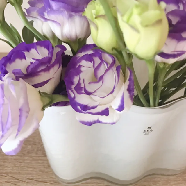 【SAGAFORM】Siluett 波浪花器(北歐經典風格設計)