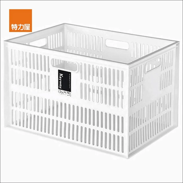 【特力屋】2入組  深型特大總理萬用籃 DT-38