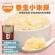 【減醣聖品】養生五穀/黎麥/糙米/燕麥/小米飯(30包_170g/包)
