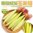 【WANG 蔬果】紅鬚玉米筍5斤x1箱(農民直配)