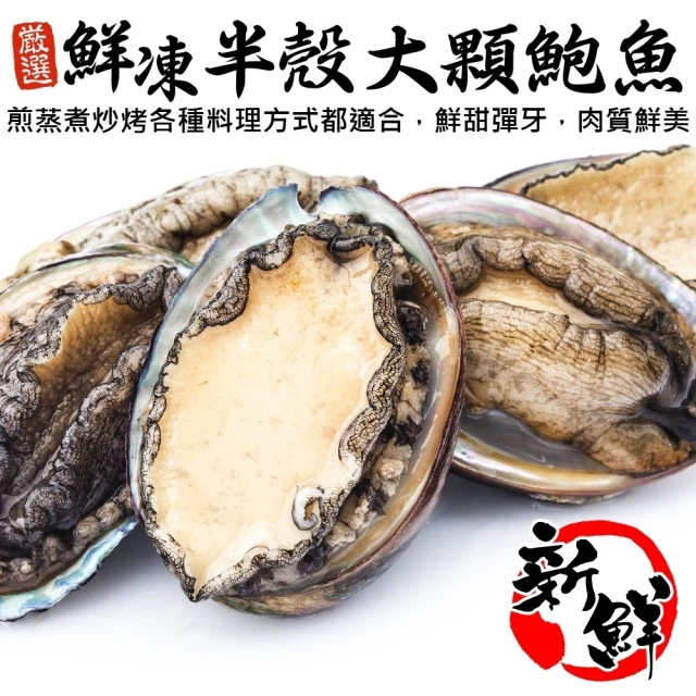 三頓飯 鮮凍大顆半殼九孔鮑魚(2包_18顆/1kg/包)