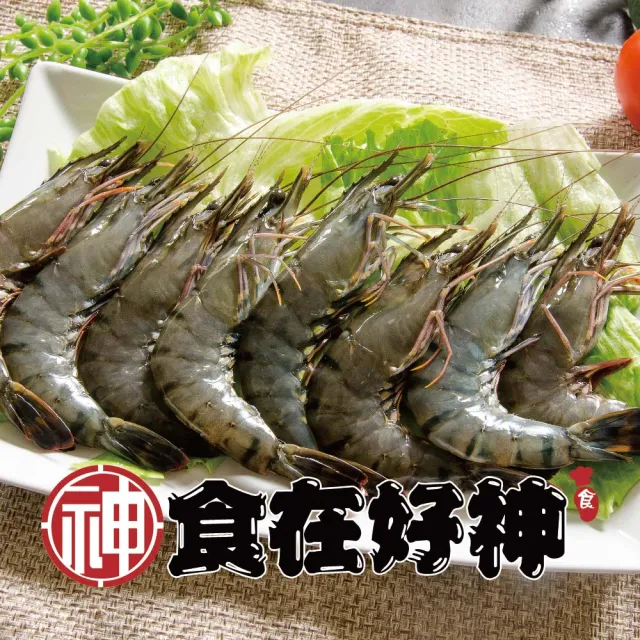 南洋海養限量8P規格黑虎霸王大草蝦