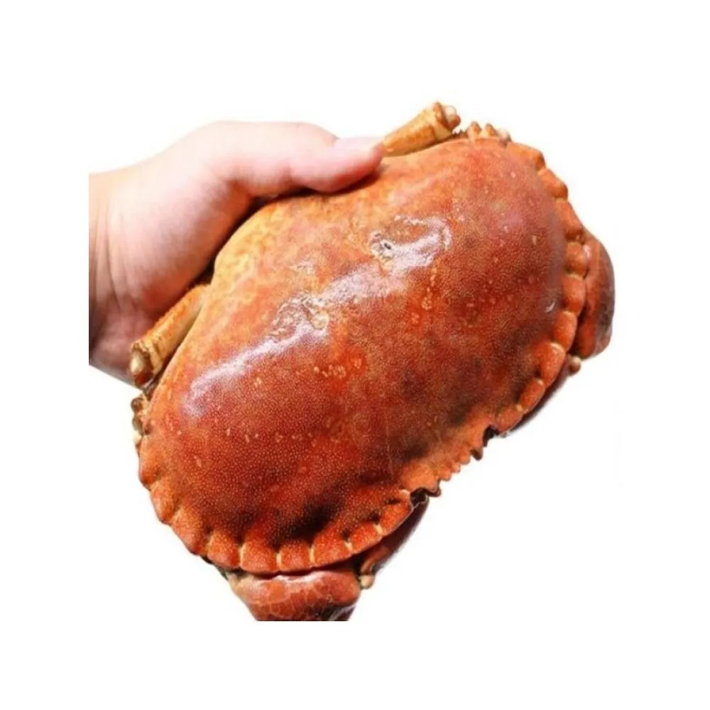【三頓飯】英國頂級霸王蟹(3隻_400-600g/隻)