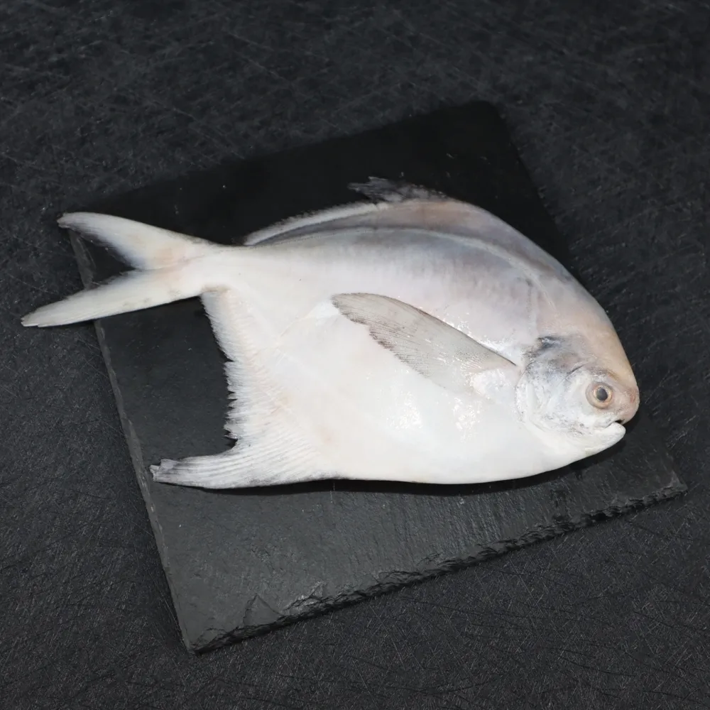 【三頓飯】鮮凍小白鯧(共40尾_2尾/100g/包)