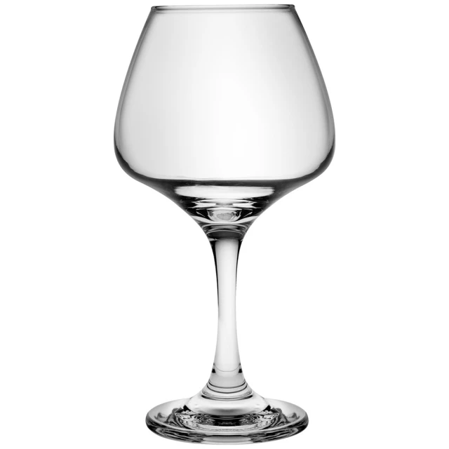 【Pulsiva】Amarella紅酒杯 560ml(調酒杯 雞尾酒杯 白酒杯)