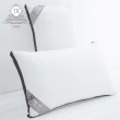 【JAROI】石墨烯+氧化鋅獨立筒枕(買1送1)