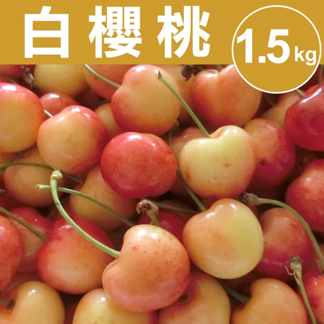 【甜露露】美國西北白櫻桃9.5R 1.5kgx1盒(1.5Kg±10%)