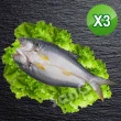 【賣魚的家】新鮮午仔魚3尾組(250g-300g/尾)