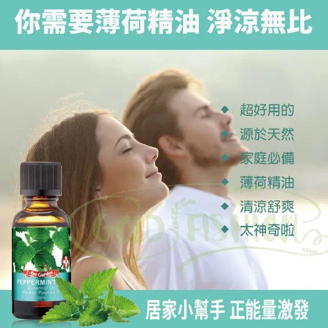 【Ausgarden 澳維花園】爆涼爽薄荷精油刮痧舒活5件組(薄荷精油30mlX2+薄荷尤加利滾珠精油10mlX2+刮痧板)