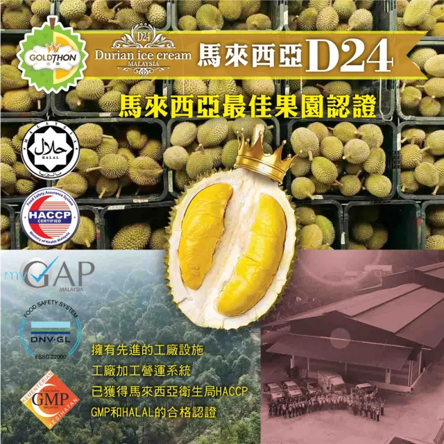 【Gold Thon】D24蘇丹王榴槤冰淇淋1盒/6杯禮盒裝(85公克/杯*6杯)
