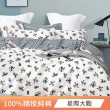 【FOCA】卡通 100%精梳純棉兩用被床包組(加大/多款任選)
