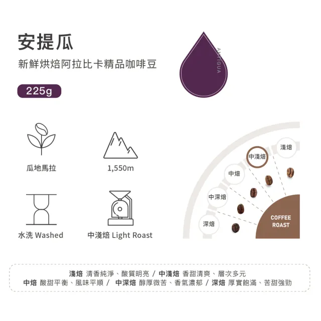 【SATUR 薩圖爾】安提瓜中淺焙咖啡豆x2袋組(225g/袋;雨林聯盟認證水洗)