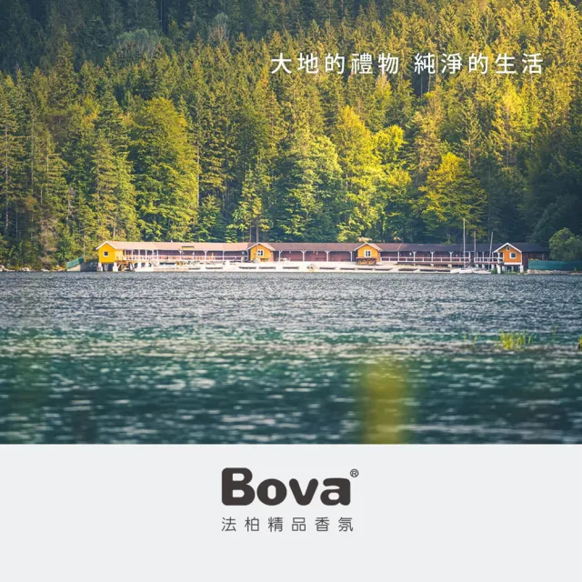 【Bova 法柏精品香氛】法柏天然廣藿香精油10ml(木質調  單方精油)
