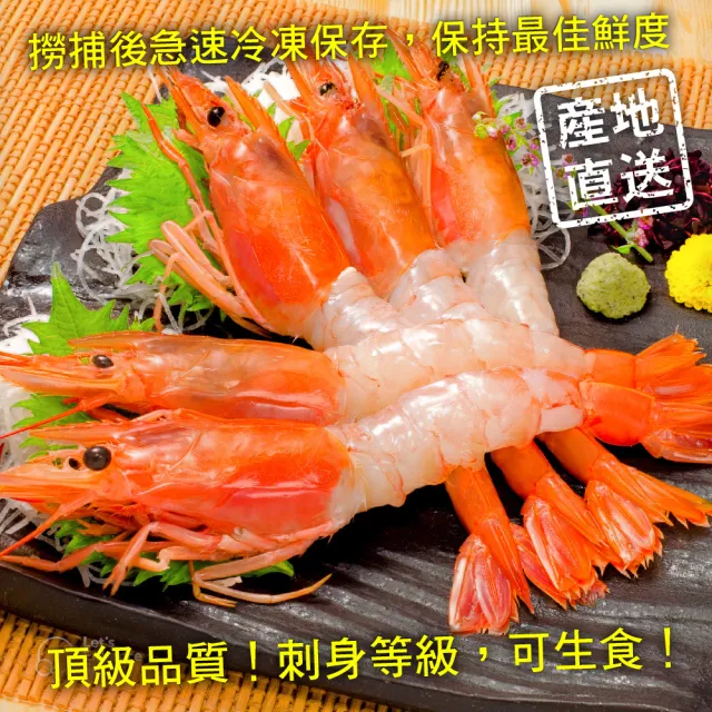 【三頓飯】刺身用頂級XL巨無霸天使紅蝦1kg(加贈1kg 共2kg約30-35)
