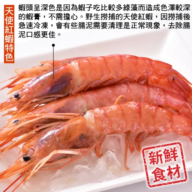 【三頓飯】刺身用頂級XL巨無霸天使紅蝦1kg(加贈1kg 共2kg約30-35)