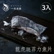 【一夫水產】龍虎斑菲力魚片3入組(魚肉甜美無腥味.魚皮Ｑ彈富膠質.去刺真空方便料理又保鮮)