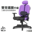【椅靠一生】雙背人體工學護腰辦公椅電腦椅(MIT/居家辦公椅子/360度旋轉椅/人體工學主管椅)