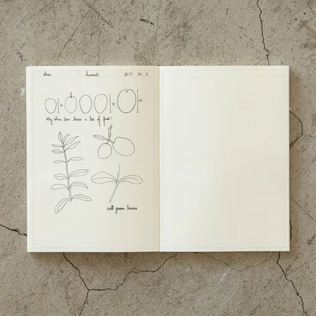 【MIDORI】MD Notebook Journal A5筆記本(紀錄式空白)