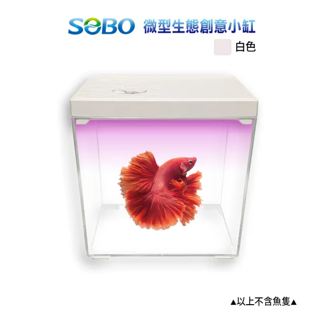 【SOBO 松寶】微型生態創意小缸.魚缸-黑白兩色可選(16.5x12.5x17cm 含LED燈)