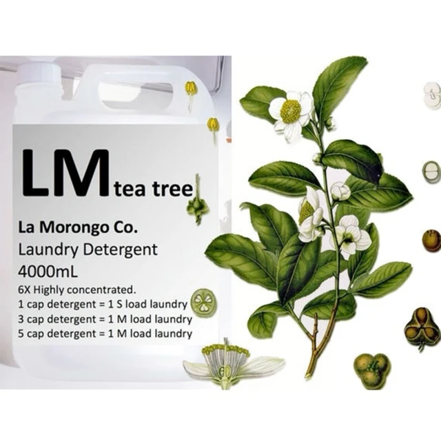 【La Morongo Co. 法國樂木美品】大桶家庭號4Kg茶樹超濃縮洗衣精(茶樹 抗菌 清潔效果加倍)