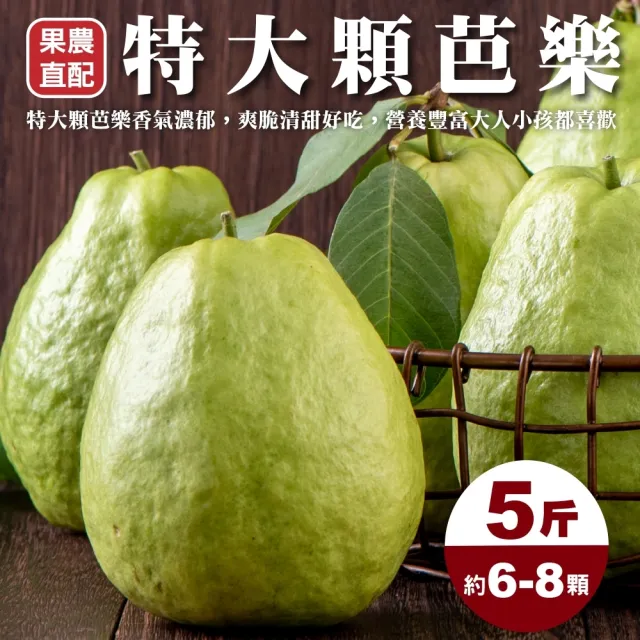 【WANG 蔬果】高雄燕巢特大顆芭樂(5斤/約6-8顆)