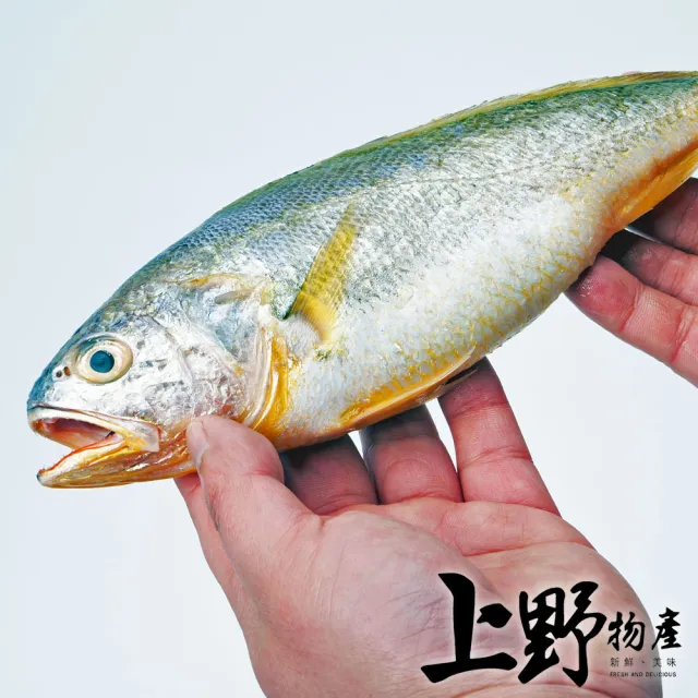 【上野物產】16隻 野生白口魚(135g±10%/隻 海鮮)