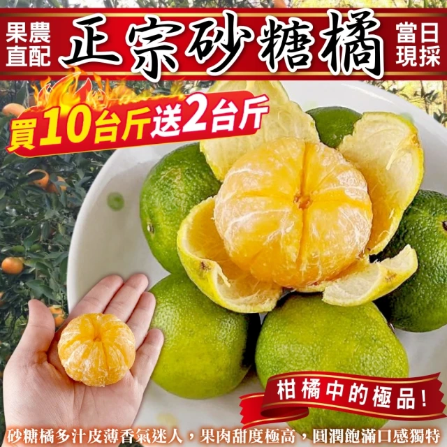 顧三頓-果農直配 正宗砂糖橘_買10送2(共12斤/箱)