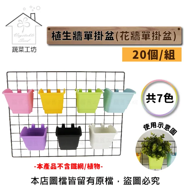 【蔬菜工坊】植生牆單掛盆-20個/組 共7色(花牆單掛盆)