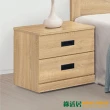 【綠活居】梅維  時尚1.5尺二抽床頭櫃/收納櫃(四色可選)
