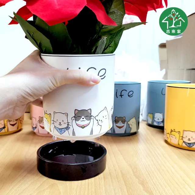 【吉來家】療癒系小貓陶瓷萬用可瀝水花器/置物罐/餐具筒(粉紅/粉藍/黃/白/綠-顏色隨機)