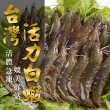 【愛上海鮮】海味全蝦6件組